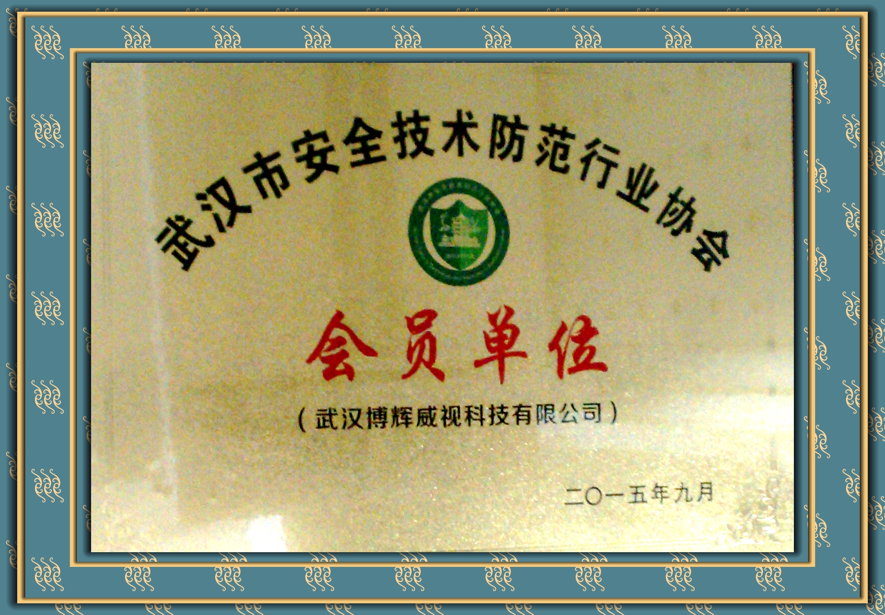 博辉威视武汉安全技术防范协会会员单位